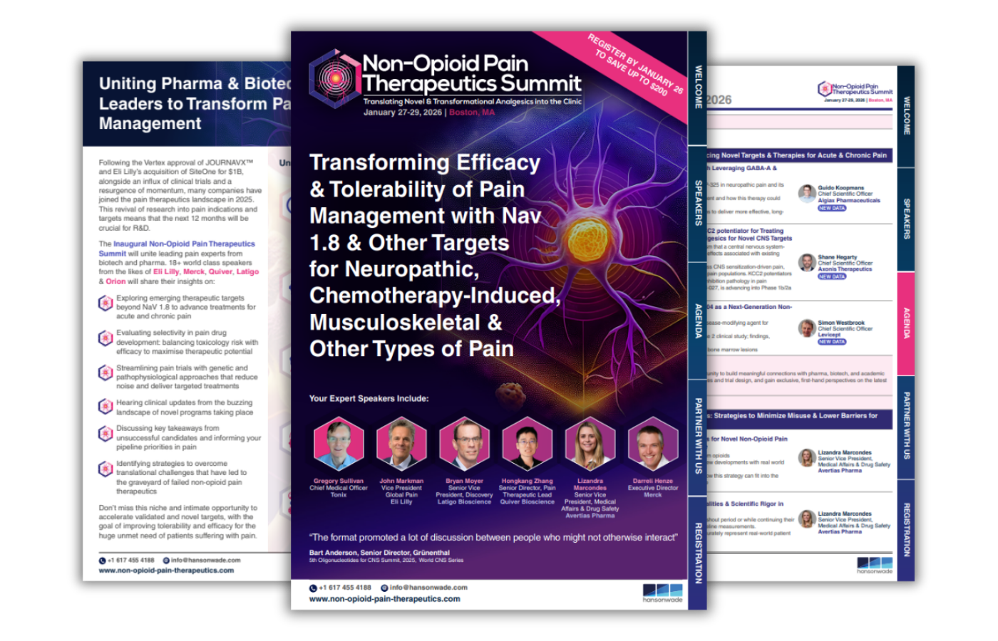 Brochure Image - Non-Opioid Pain Therapeutics Summit
